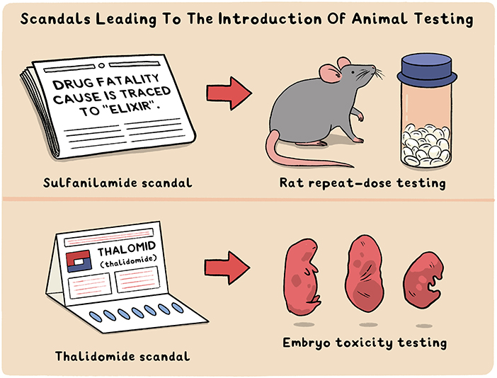 animal experiments
