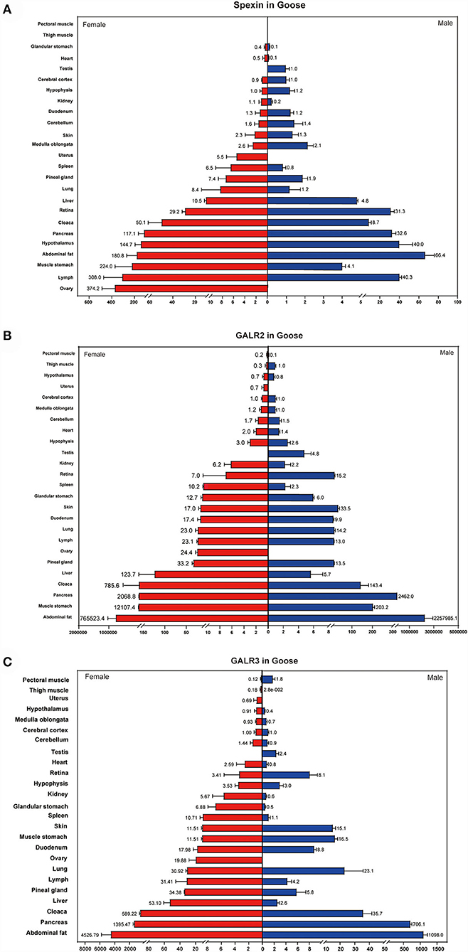 Frontiers | Spexin mRNA profile and its response to different ...