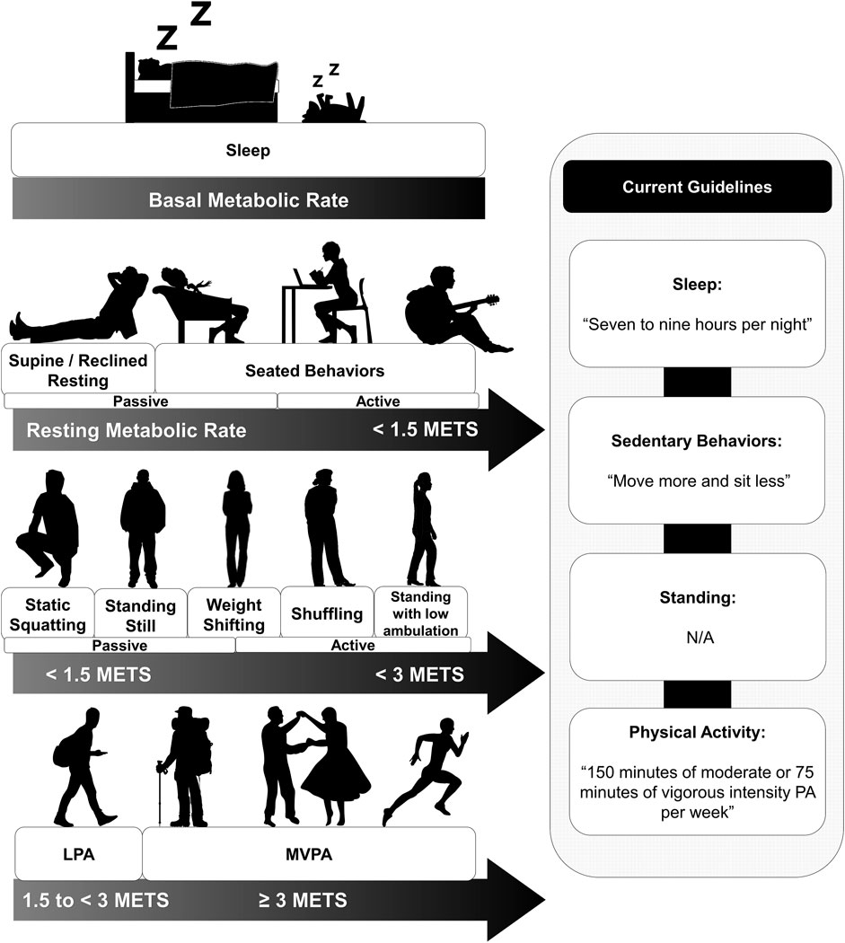 Frontiers Sedentary Behavior And Cardiovascular Disease Risk An