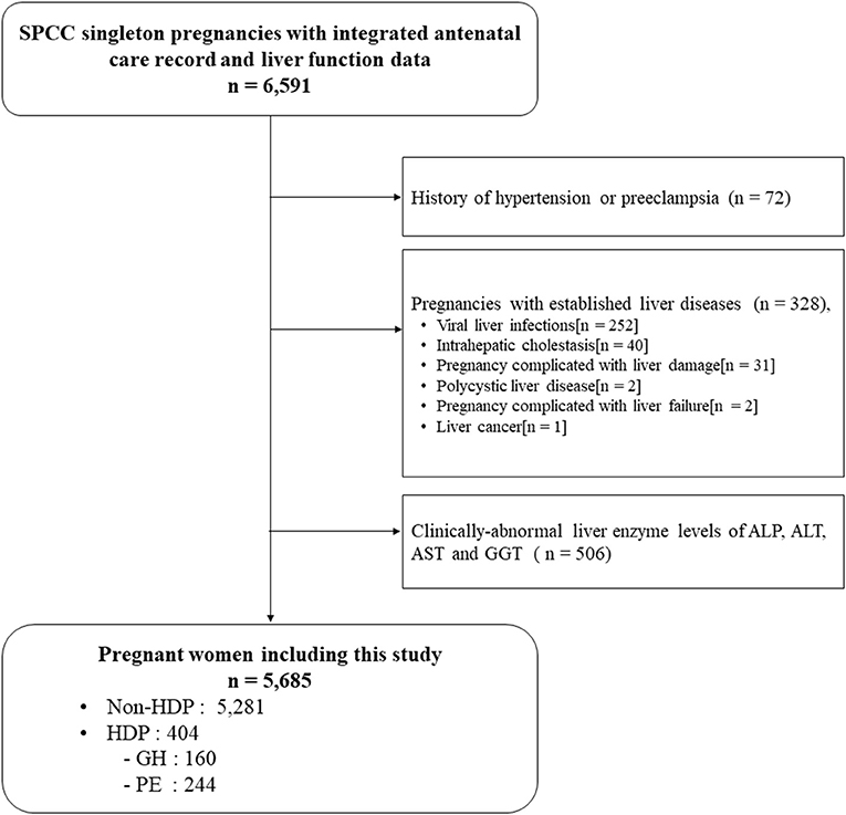 Frontiers High normal Liver Enzyme Levels In Early Pregnancy 