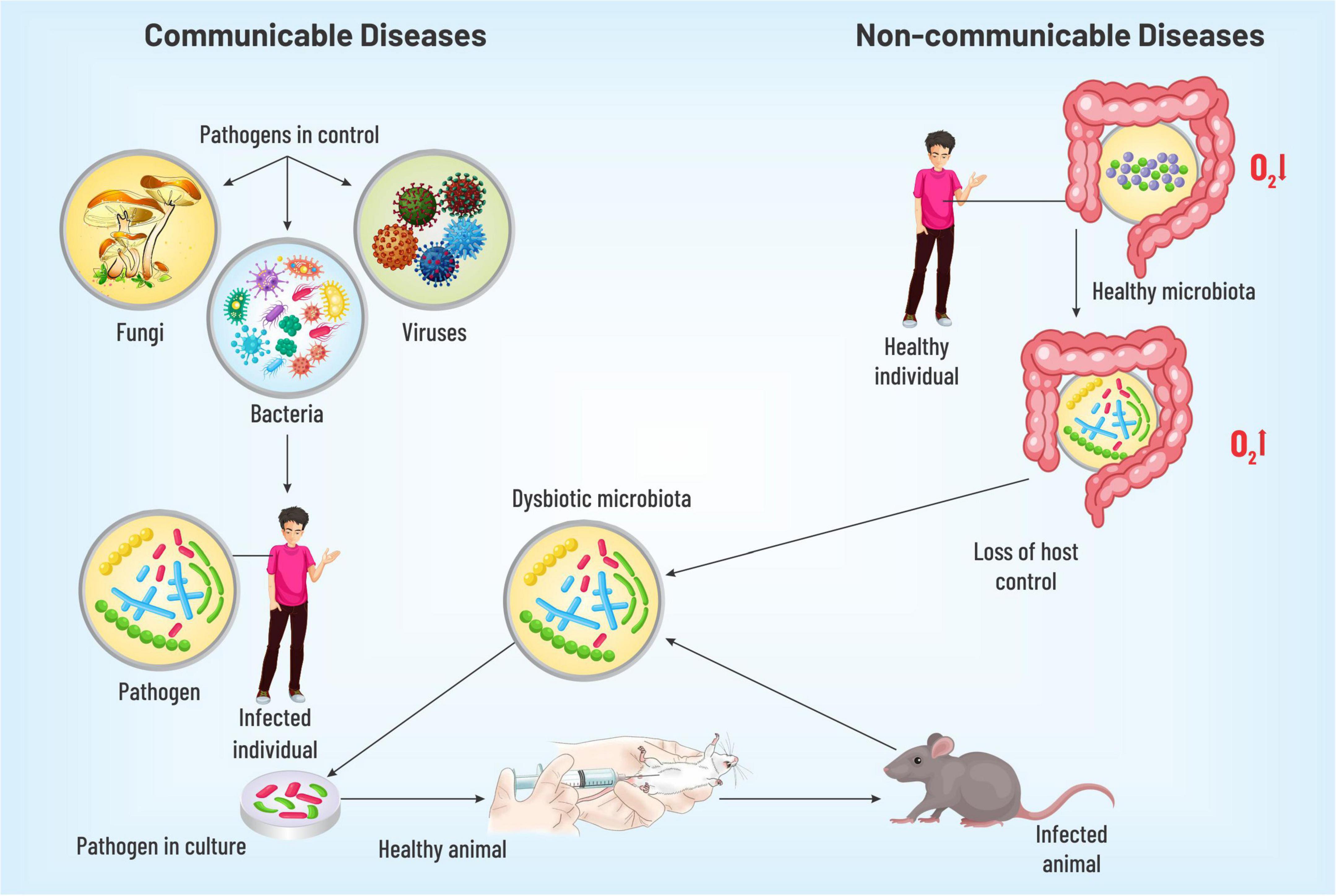 non communicable diseases images