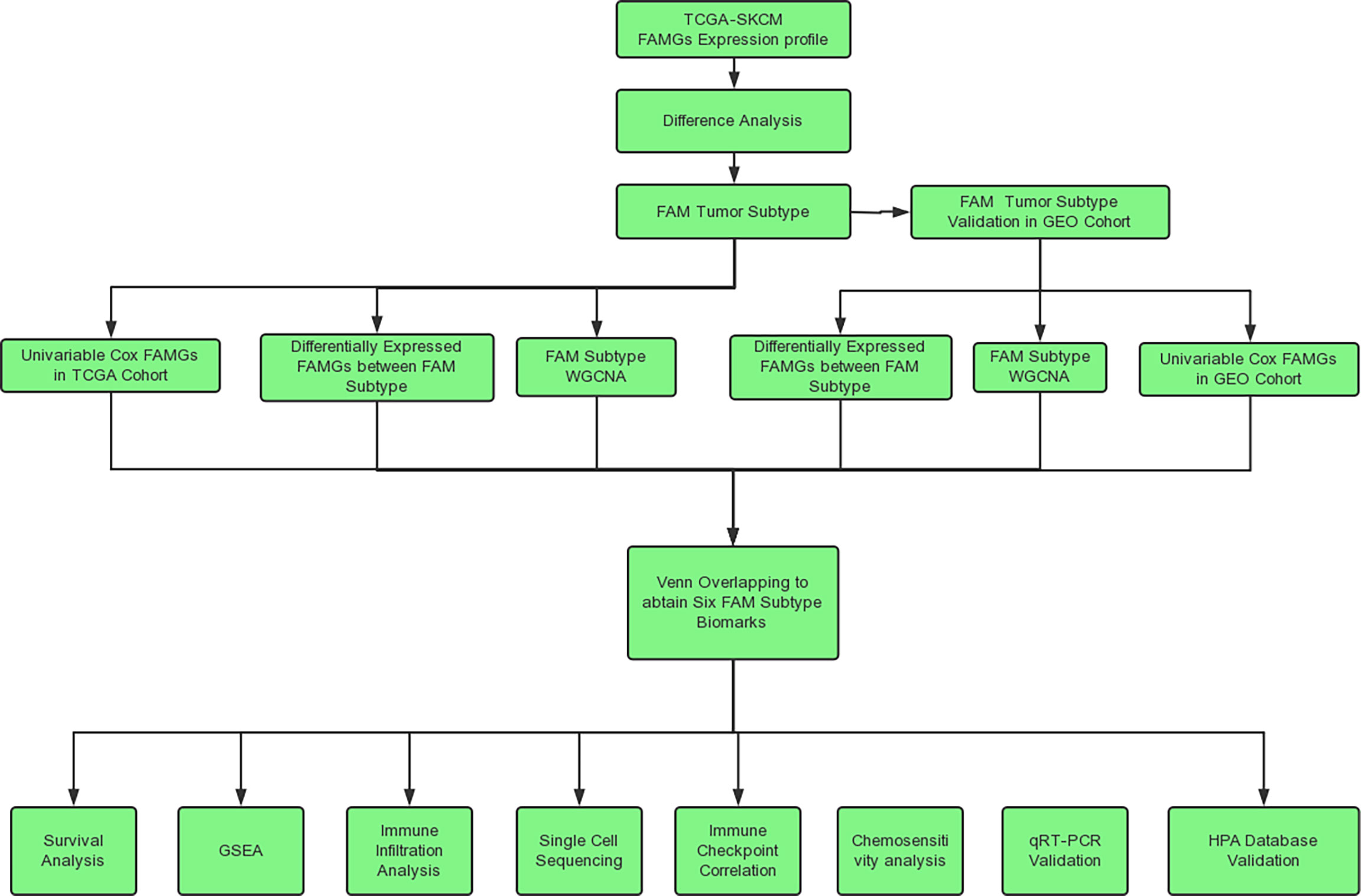 Frontiers | Identification of fatty acid metabolism–related molecular ...