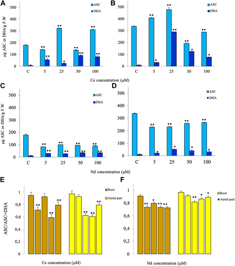 Frontiers  Cytological alterations and oxidative stress induced by Cerium  and Neodymium in lentil seedlings and onion bulbs