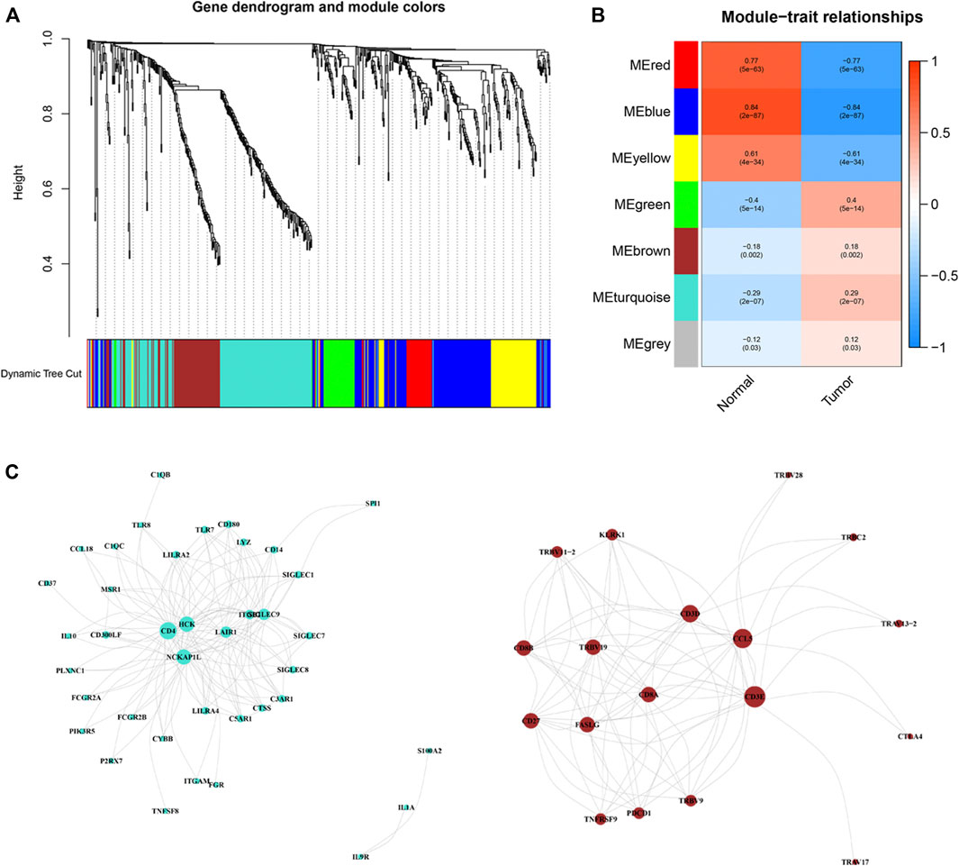 Frontiers Identification Of An Immune Related Gene Prognostic Index