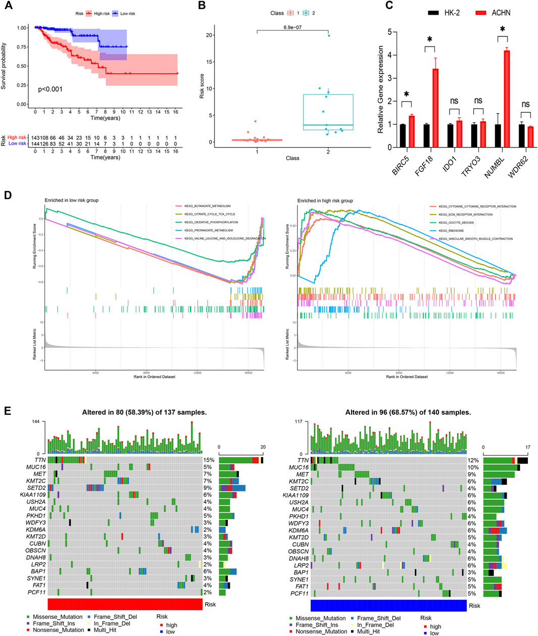 Frontiers | Identification Of An Immune-related Gene Prognostic Index ...