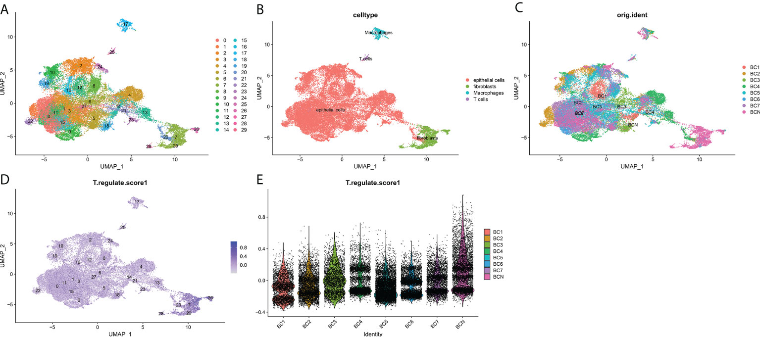 Frontiers | A novel T-cell proliferation-associated regulator signature ...