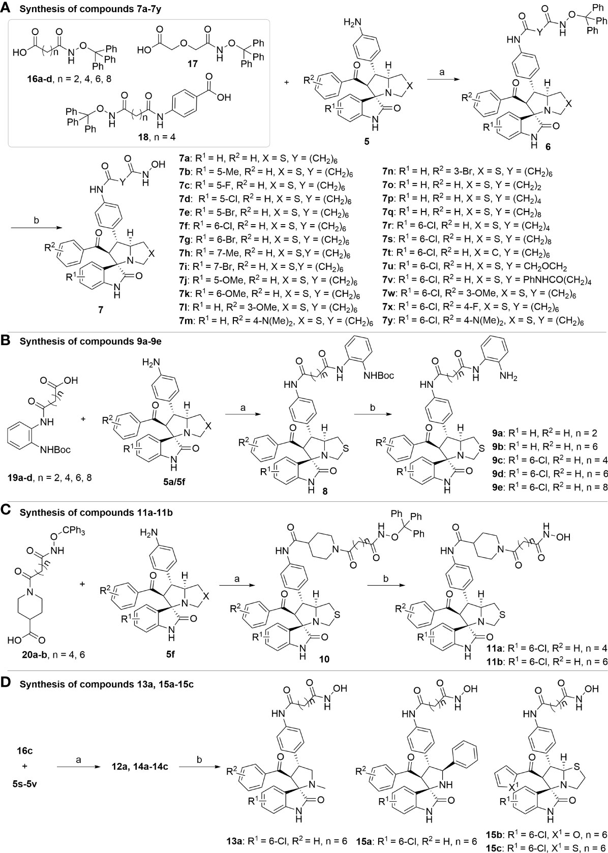 Frontiers | Discovery of spirooxindole-derived small-molecule compounds ...