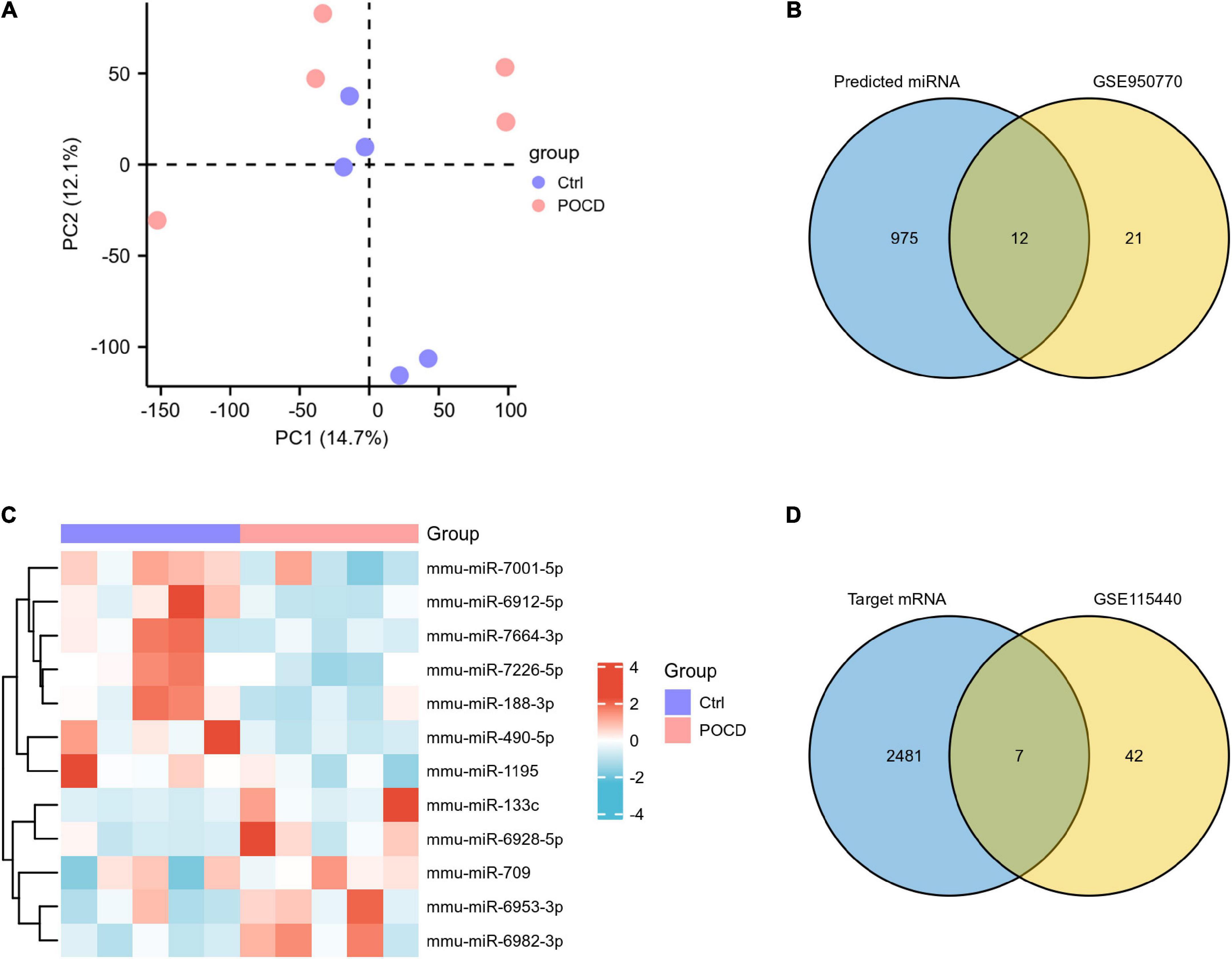 frontiers-decoding-competitive-endogenous-rna-regulatory-network-in