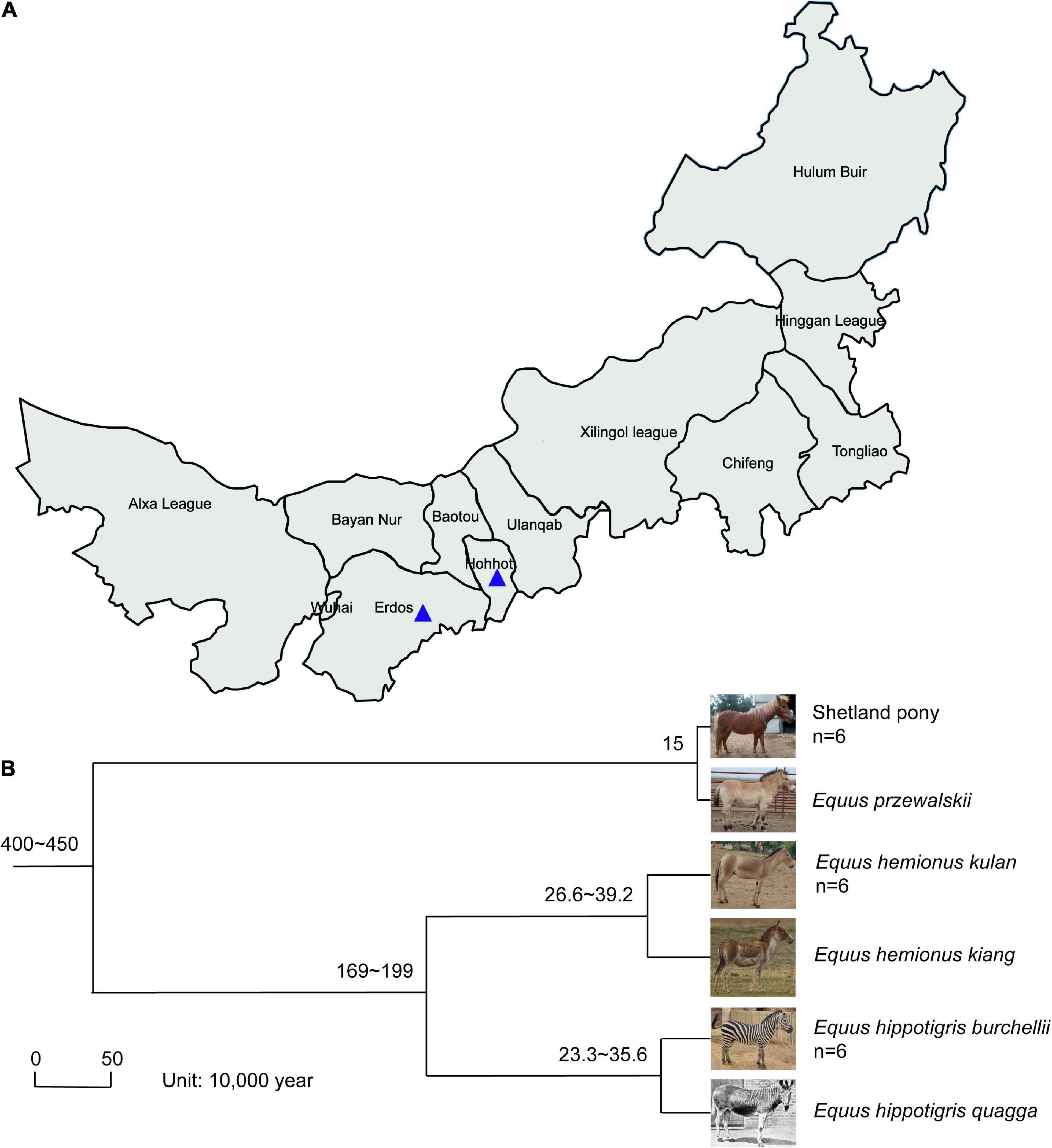 frontiers-the-diversity-analysis-and-gene-function-prediction-of-intestinal-bacteria-in-three