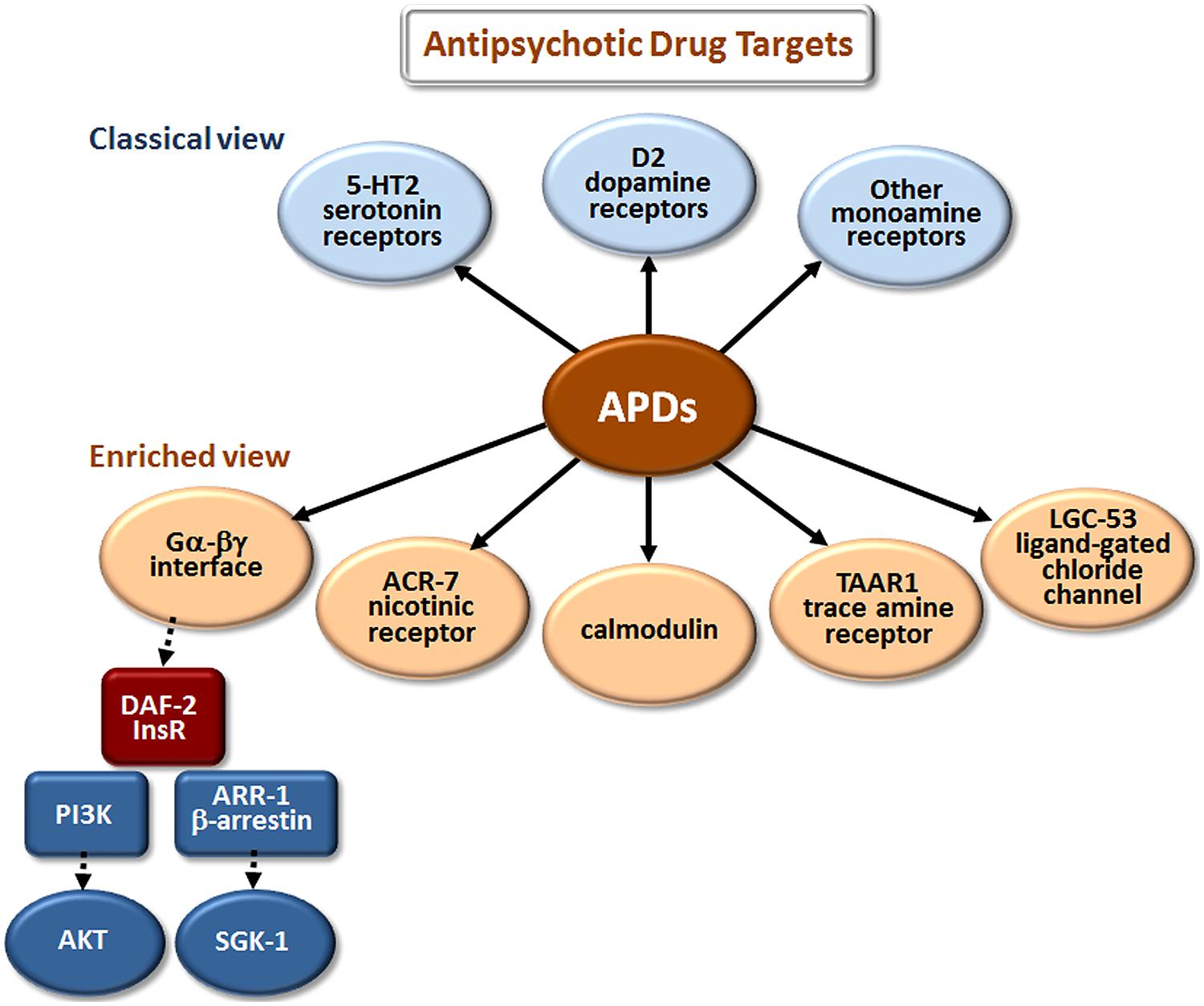 Frontiers Drug Elucidation Invertebrate Genetics Sheds New Light On 