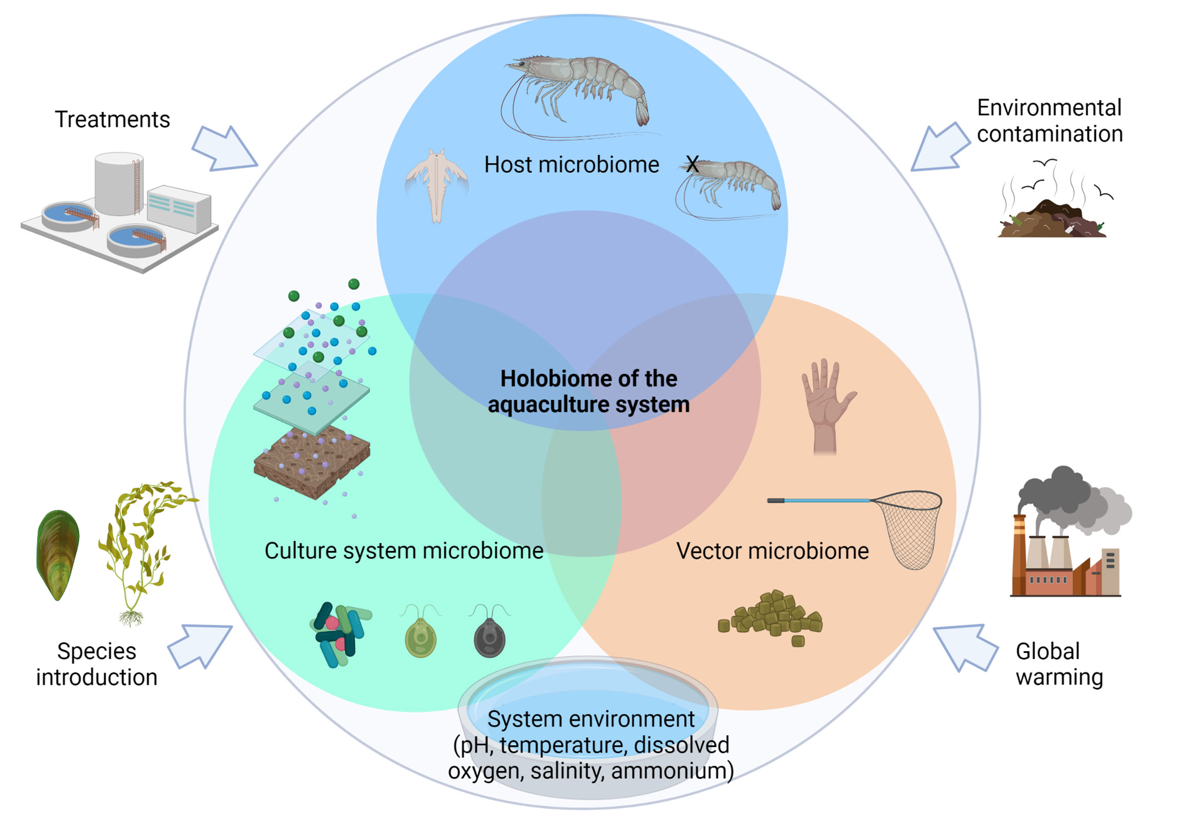 Frontiers  How a holobiome perspective could promote intensification,  biosecurity and eco-efficiency in the shrimp aquaculture industry