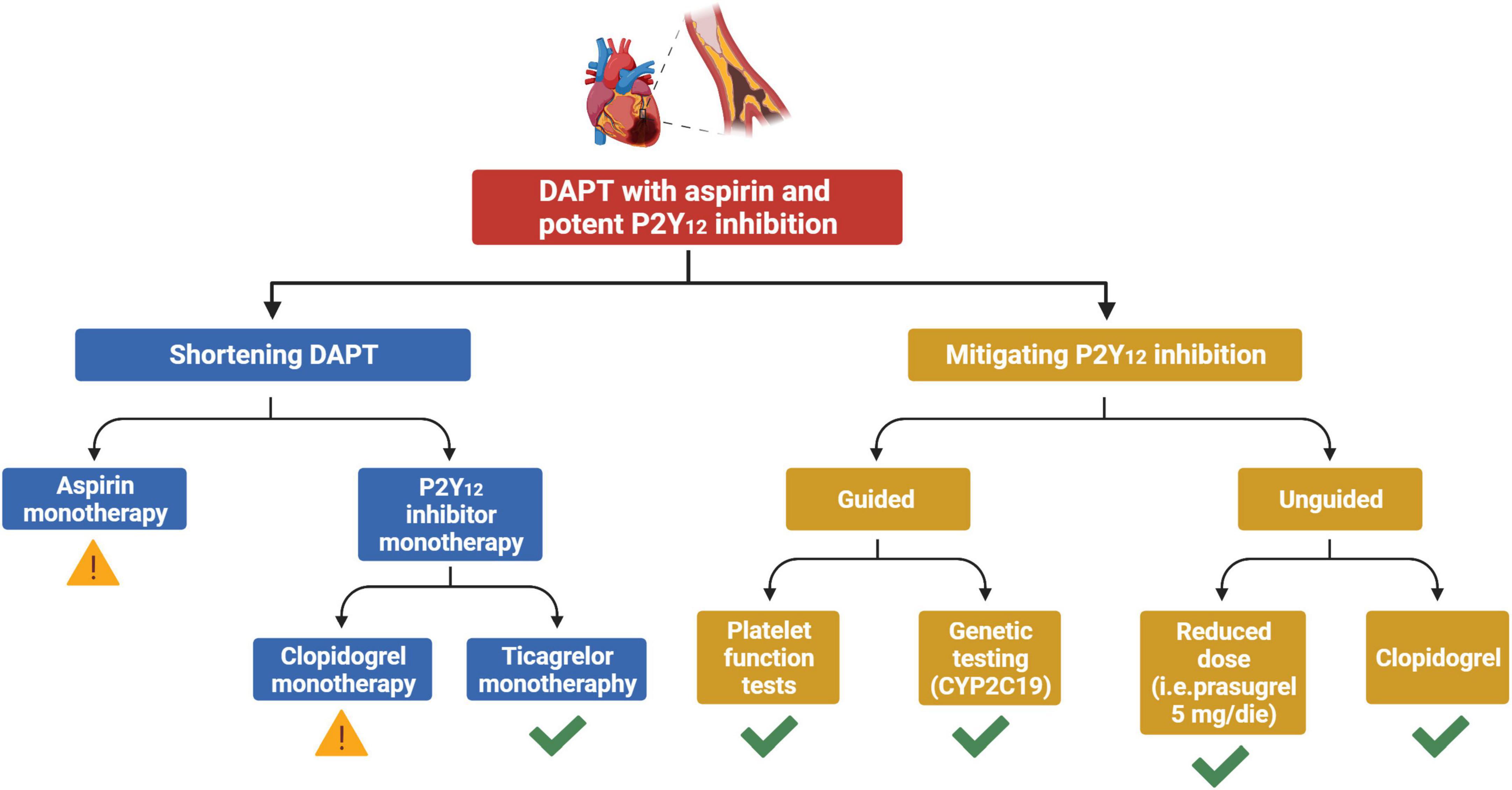 Frontiers De escalation Of Antiplatelet Therapy In Acute Coronary 