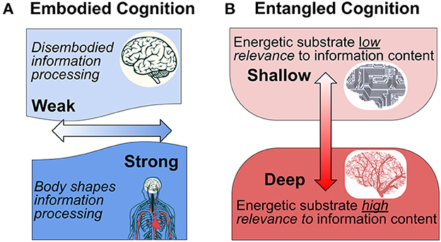 Emotional Energy Zones: Unveiling the Dynamics - Cohen