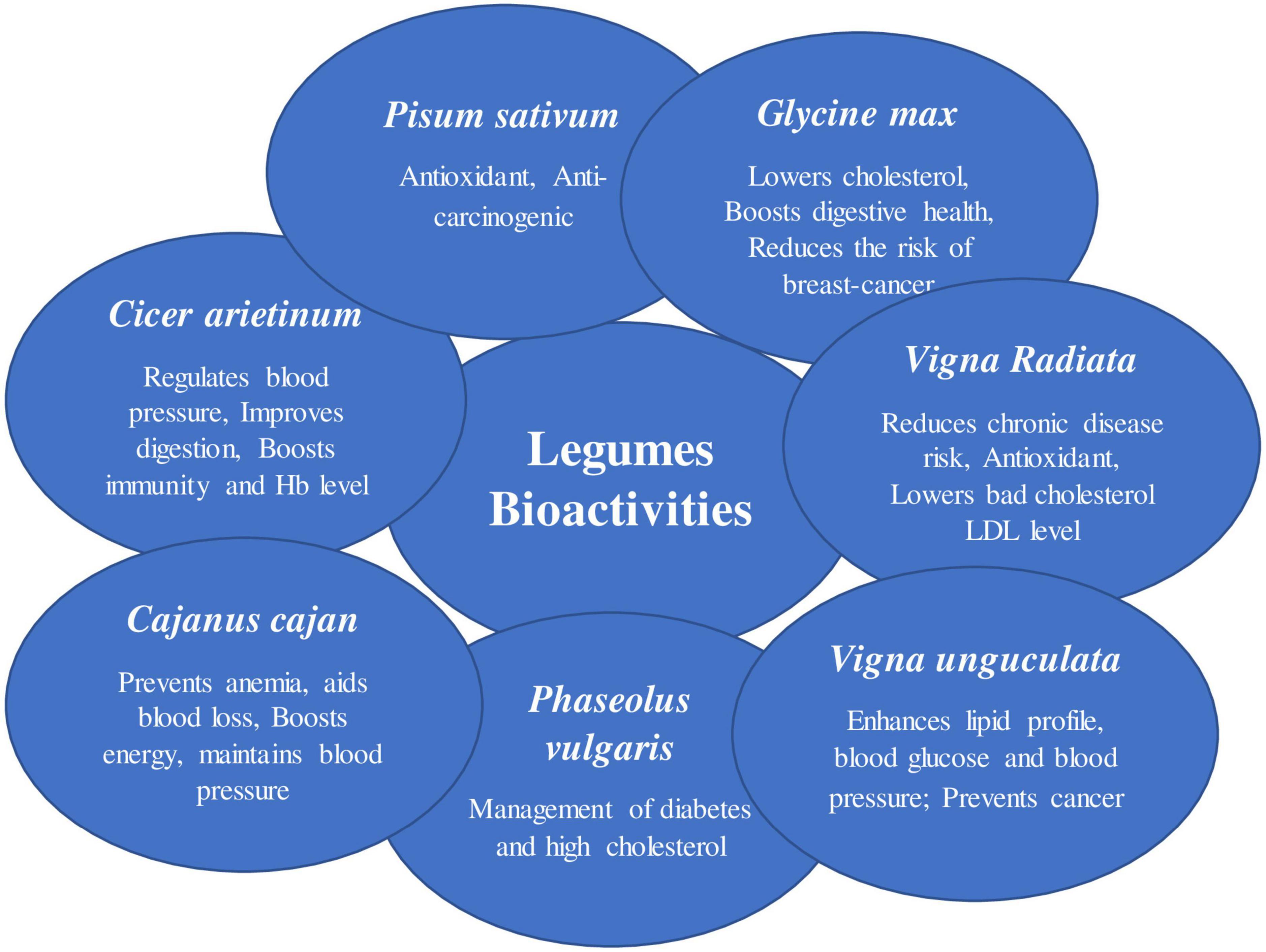 Differentiating Among Types of Legumes - A Legume a Day