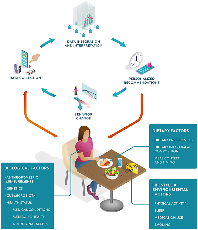 Choosing a bioimpedance scale: a guide for nutrition professionals -  Nutrium Blog