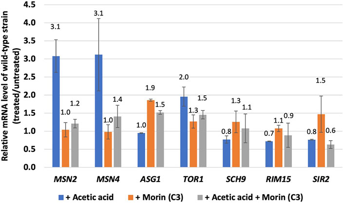 Frontiers  Biochemical and antioxidant activity of wild edible