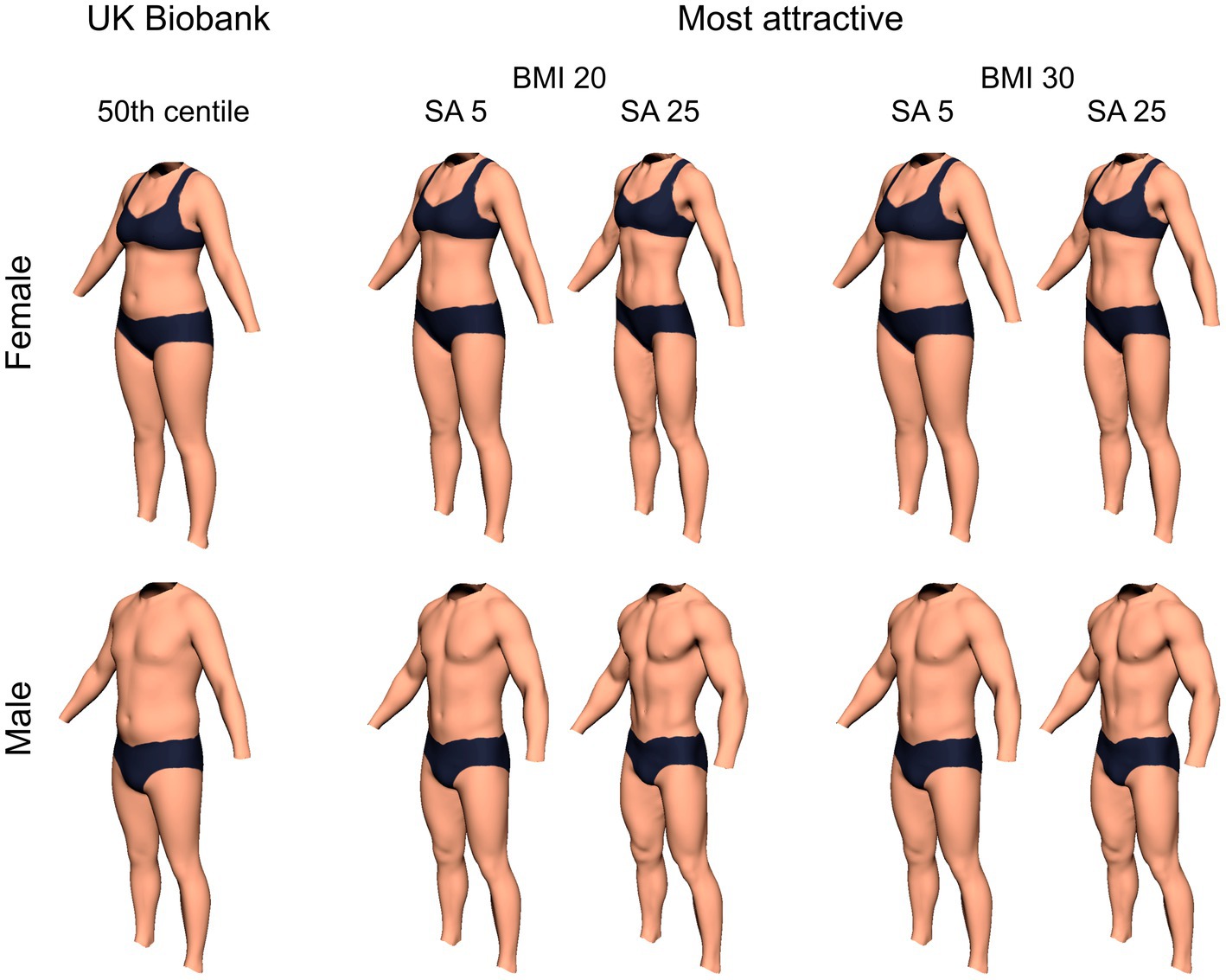 From a male perspective, what is the ideal body weight for a female? - Quora