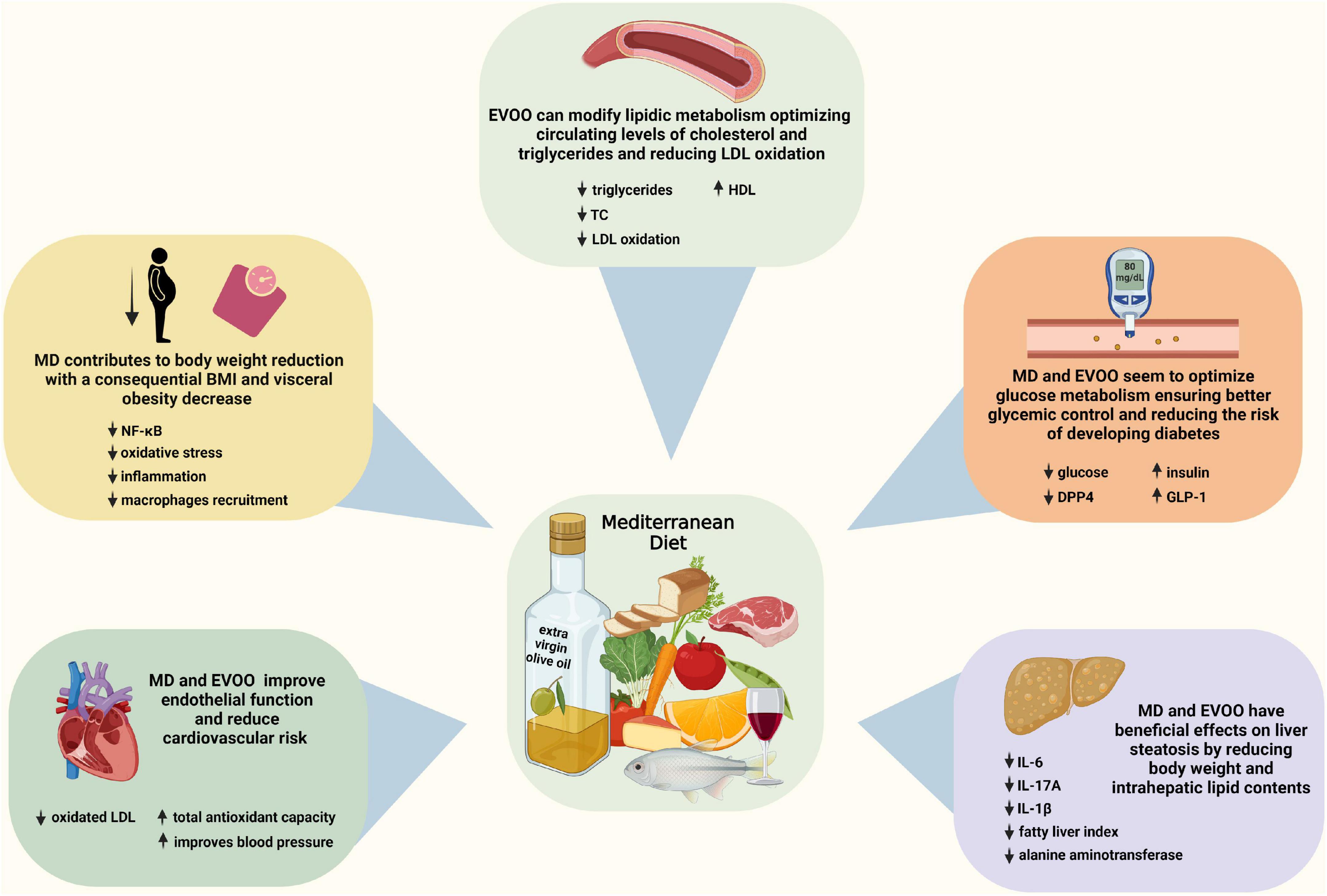 Frontiers The Clinical Impact Of An Extra Virgin Olive Oil Enriched 