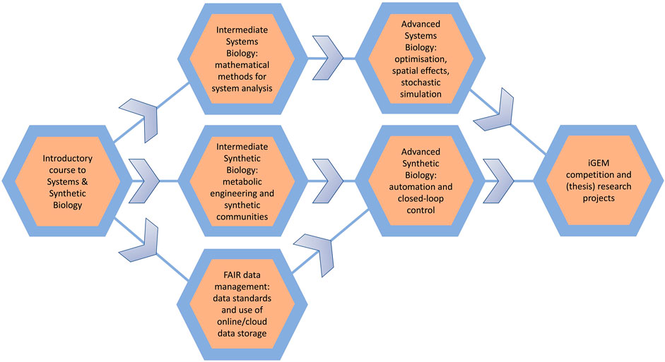 Frontiers | Research-driven Education: An Introductory Course To ...