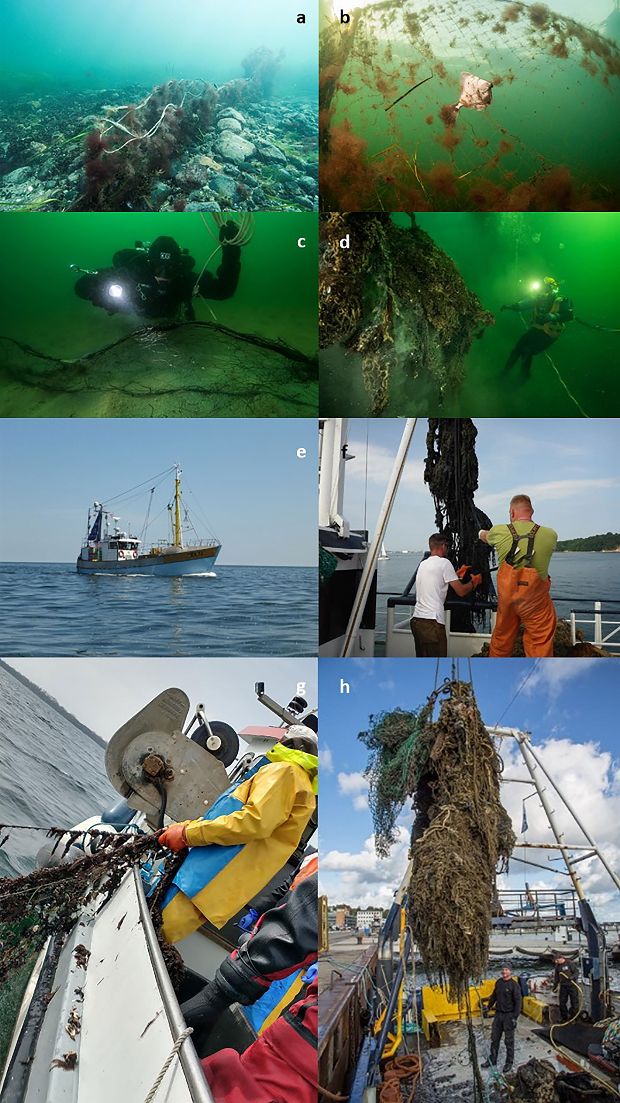 Frontiers  The quest for ghost gear in the German Baltic Sea: A