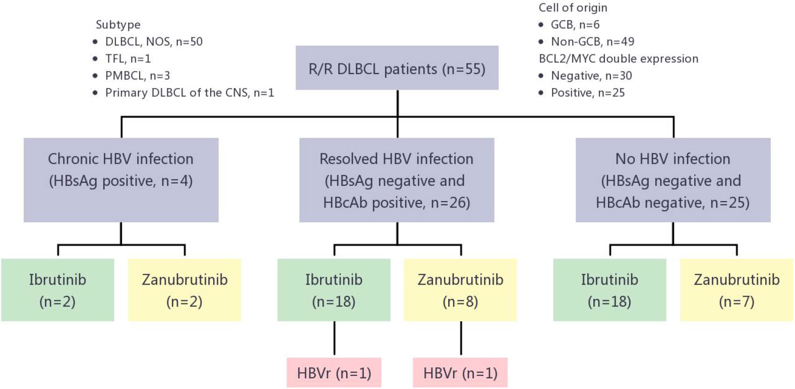 Frontiers | Risk Of HBV Reactivation In Relapsed Or Refractory Diffuse ...