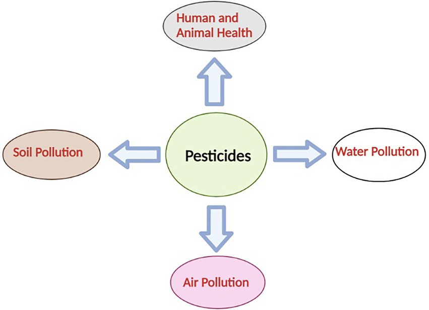 soil pollution from pesticides