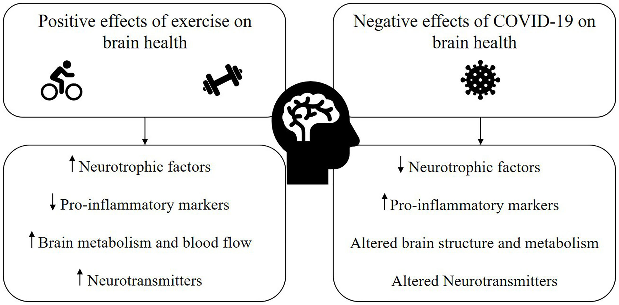 Frontiers  Cognitive impairment after long COVID-19: current evidence and  perspectives