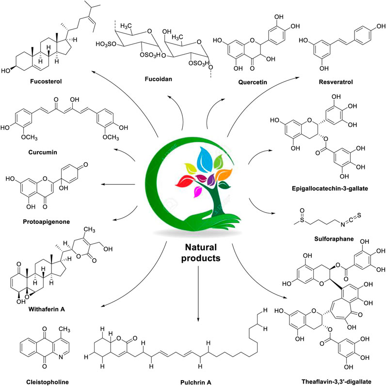 Frontiers | The role of nanomaterials in enhancing natural product ...