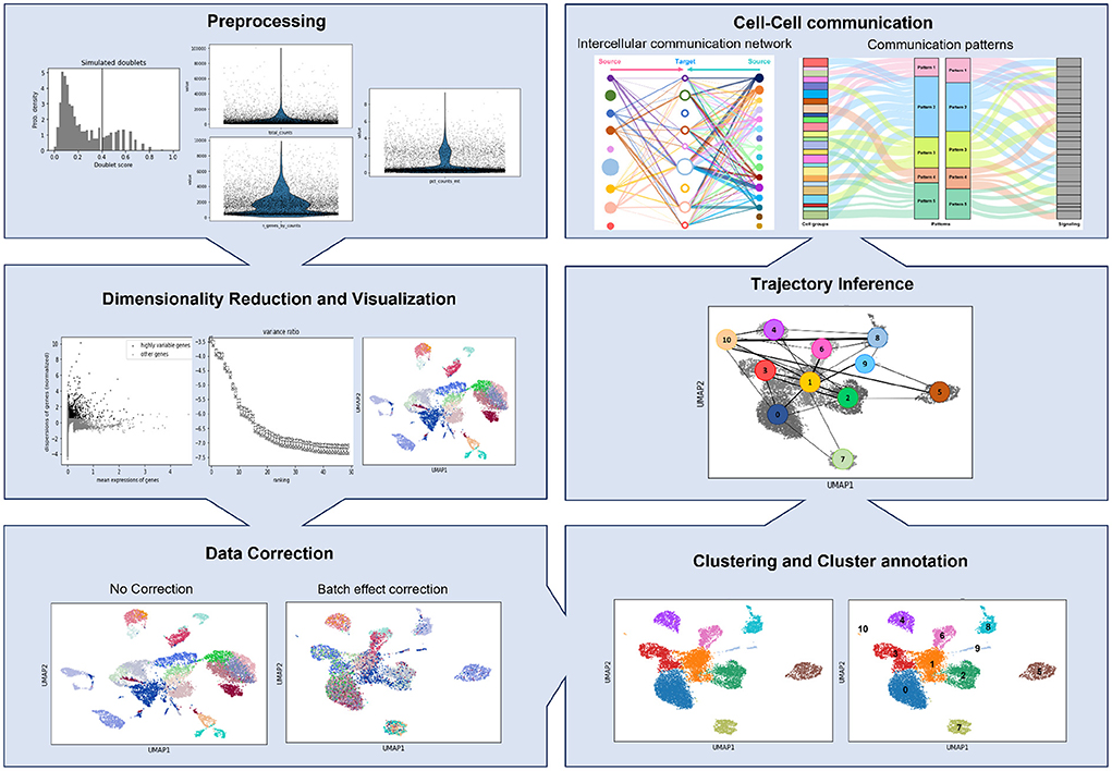 Frontiers  The impact of single-cell genomics on the field of  mycobacterial infection