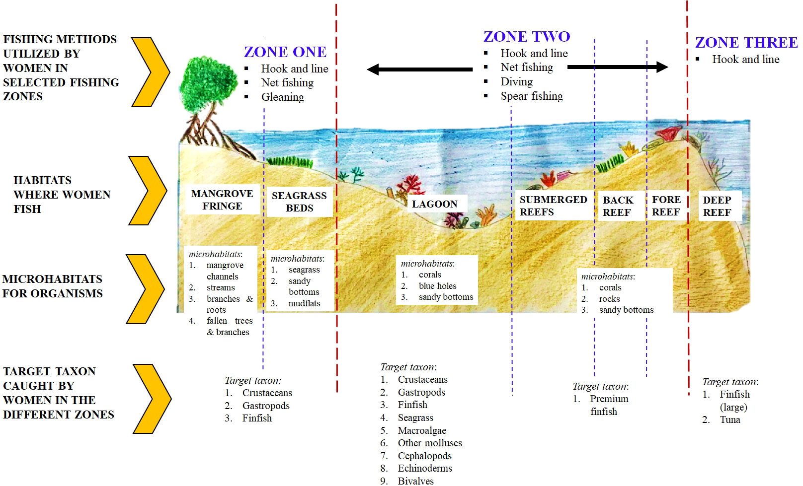 PDF) FISHING FOR HUMAN PERCEPTIONS IN COASTAL AND ISLAND MARINE