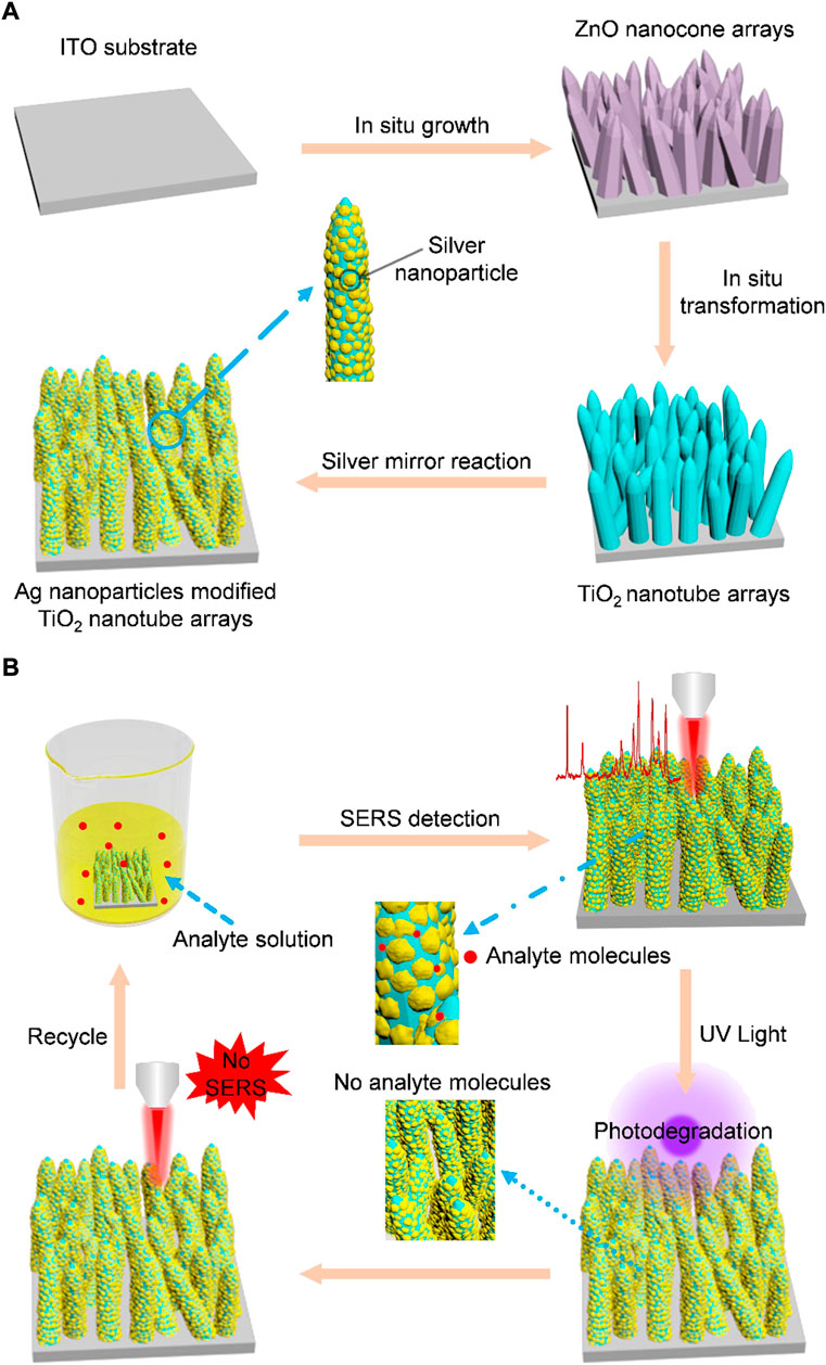 ag nanoparticles thesis