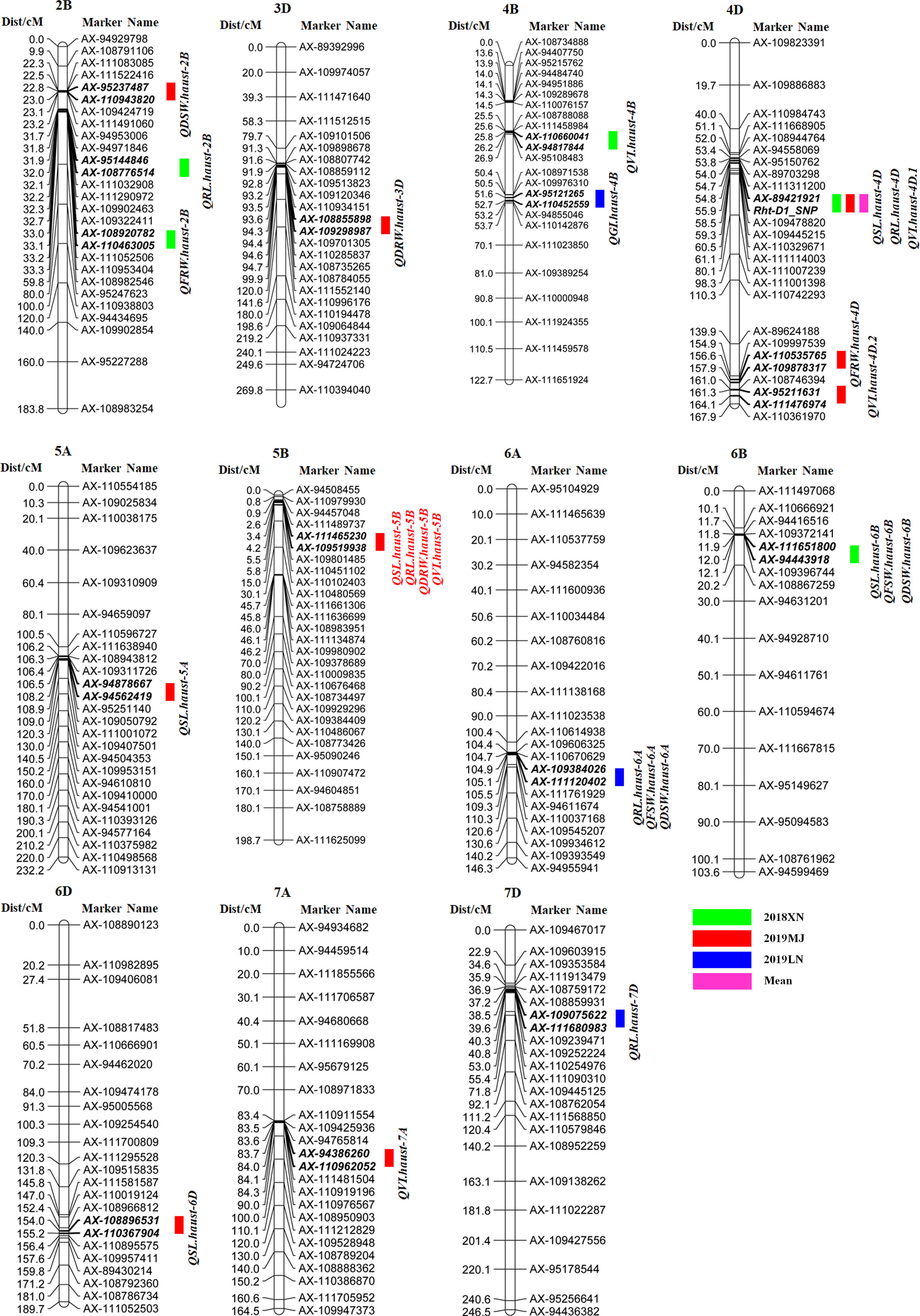 Frontiers | QTL mapping and KASP marker development for seed vigor ...