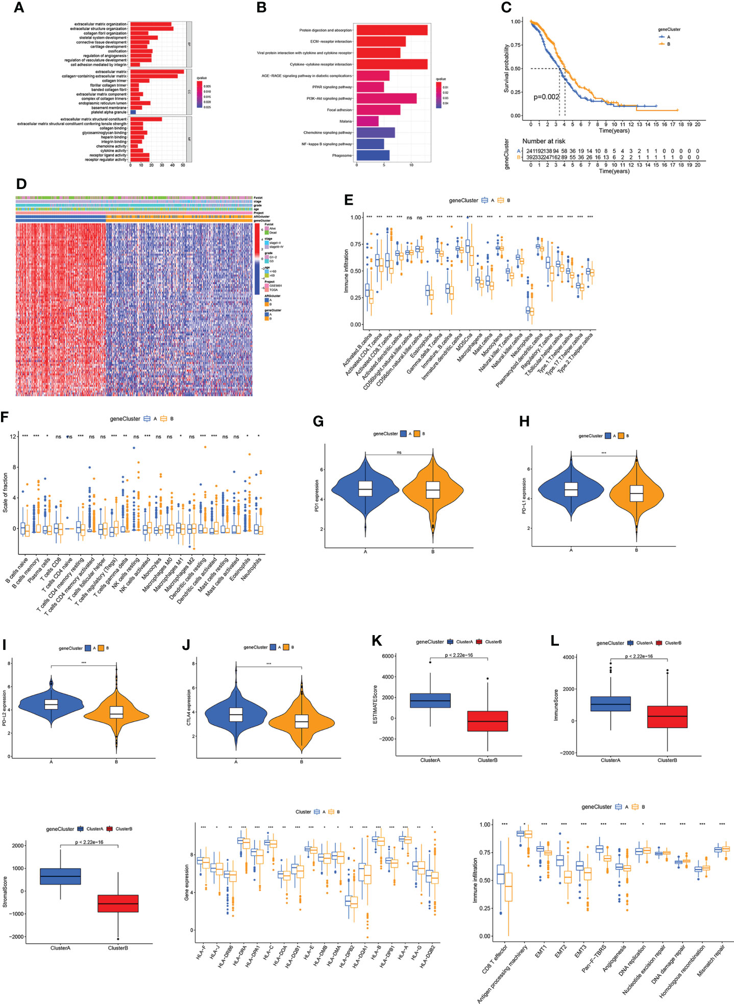 Frontiers | Molecular Subtypes, Clinical Significance, And Tumor Immune ...