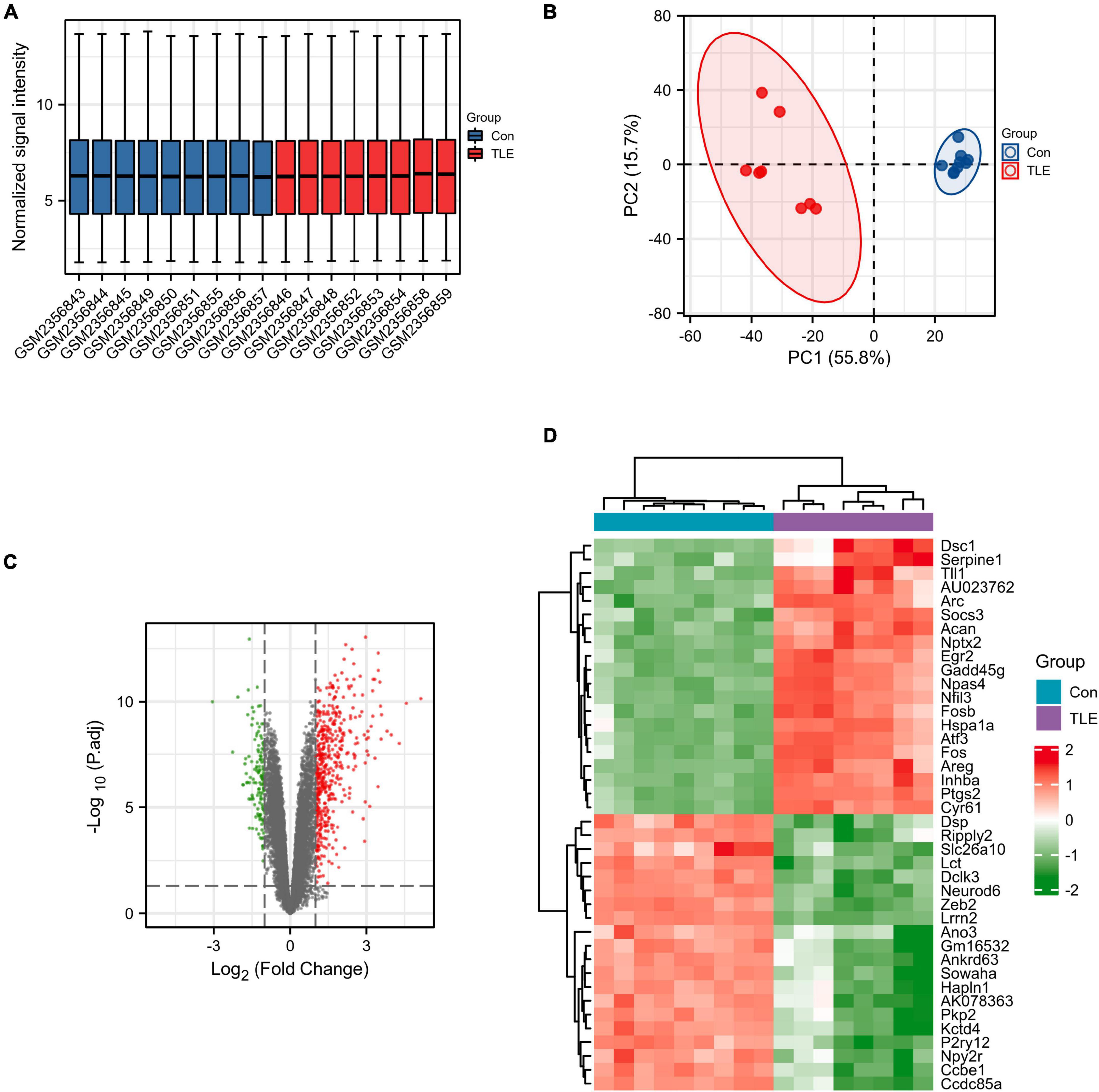 Frontiers  Multiparametric magnetic resonance imaging-derived deep  learning network to determine ferroptosis-related gene signatures in gliomas