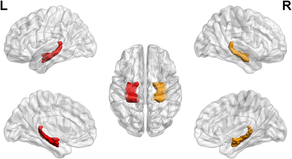 How aware are you? - Brain Aneurysm Awareness Quiz - Brain Aneurysm  Foundation