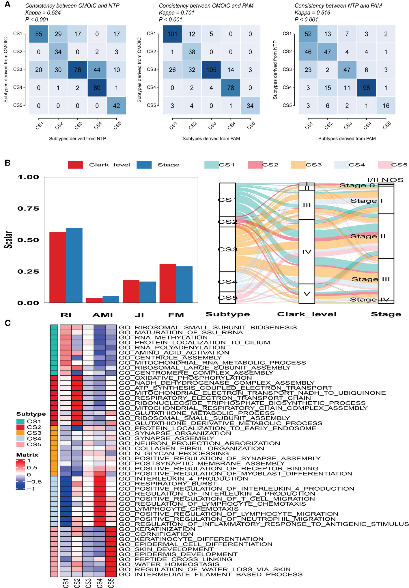 Frontiers | Crosstalk of four kinds of cell deaths defines subtypes of ...