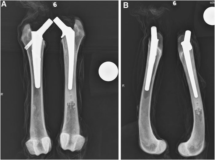 Frontiers  Biomechanical comparison of canine femurs implanted