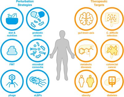 Frontiers | Microbiome engineering: engineered live biotherapeutic ...