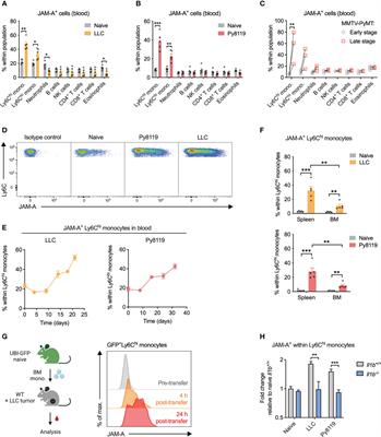 LV-MAX™ Transfection Kit