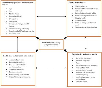 Frontiers | Undernutrition and associated factors among pregnant women ...