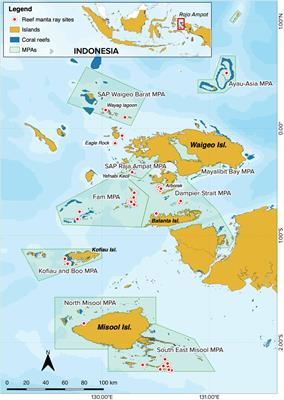 Frontiers | Population estimates of photo-identified individuals using ...