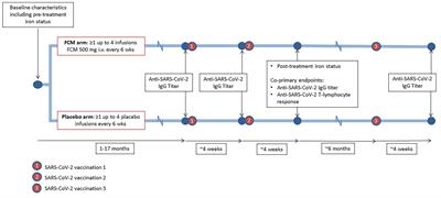 Frontiers | Ferric carboxymaltose and SARS-CoV-2 vaccination-induced ...