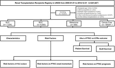 Frontiers | Skin cancer outcomes and risk factors in renal transplant ...