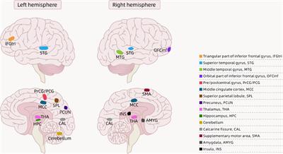 Soccer position could influence risk of brain disease, Science