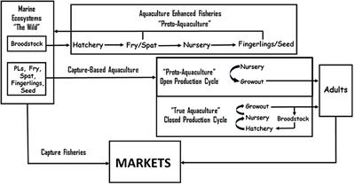 Aquaculture Ecosystem