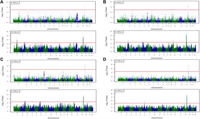 Frontiers  Imputation to whole-genome sequence and its use in genome-wide  association studies for pork colour traits in crossbred and purebred pigs