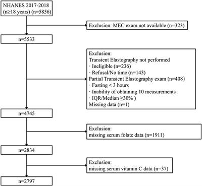 Frontiers | Associations of serum folate and vitamin C levels with  metabolic dysfunction-associated fatty liver disease in US adults: A  nationwide cross-sectional study