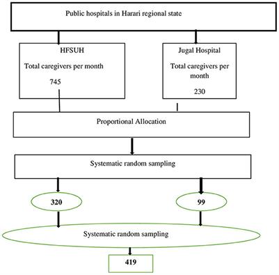 Frontiers | Perceived stigma, common mental disorders and associated  factors among primary caregivers of adult patients with mental illness  attending at public hospitals, Harari regional state, Eastern Ethiopia: A  multicenter cross-sectional study
