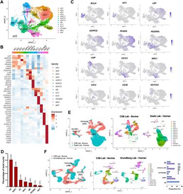 Frontiers | Single-nuclei analysis reveals depot-specific ...