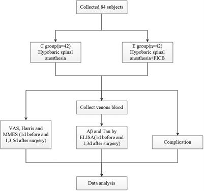 Frontiers | Fascia iliaca compartment block can reduce the incidence of ...